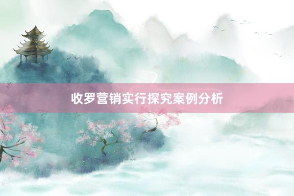 收罗营销实行探究案例分析